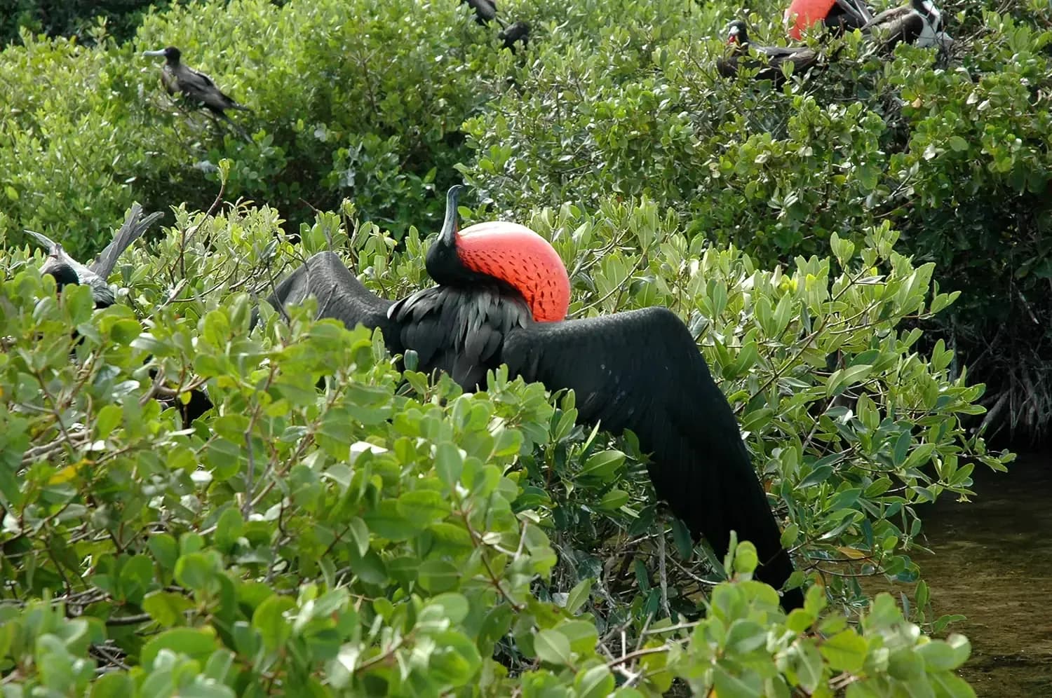 10 Photography Tips for Capturing Caribbean Beauty