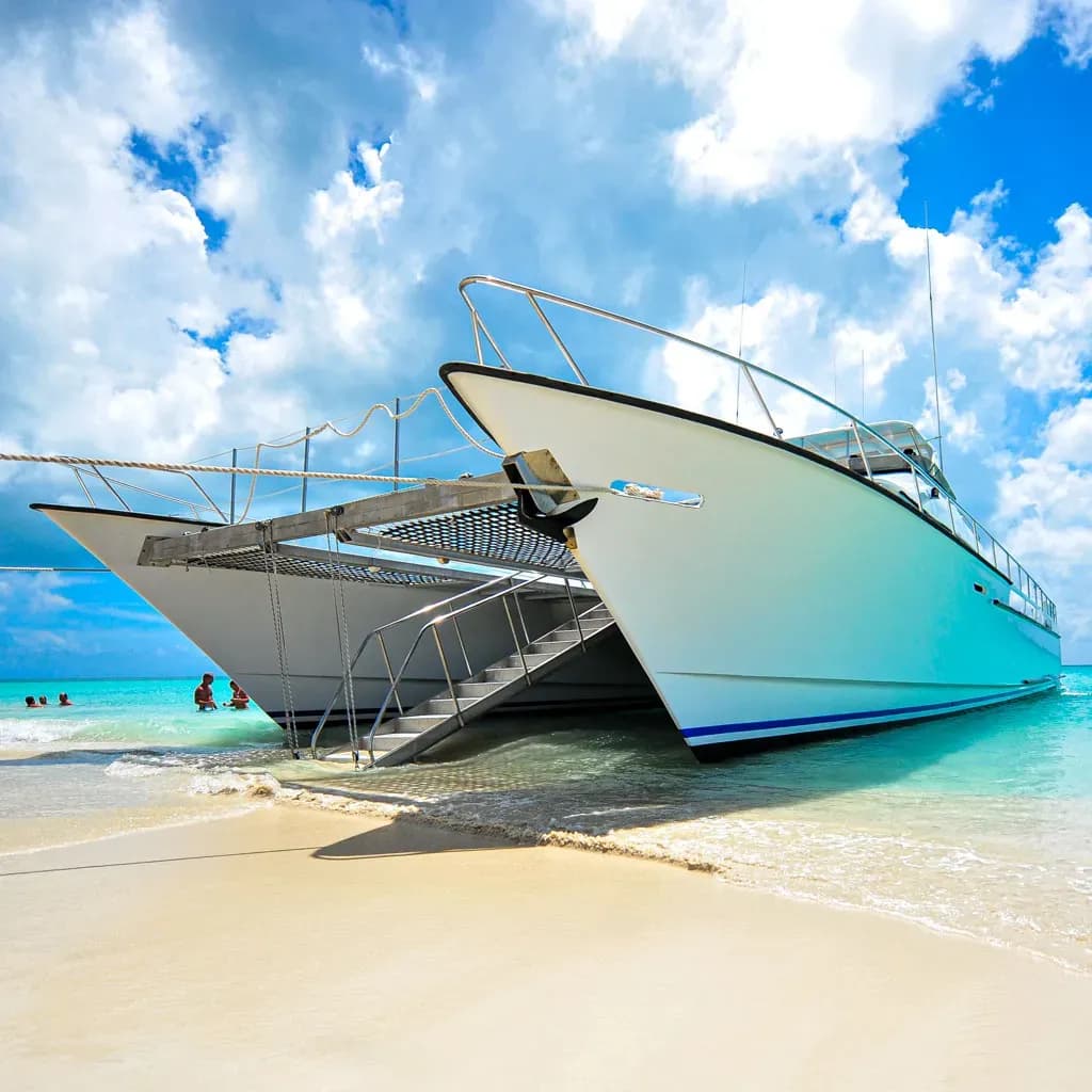 Barbuda vs. Antigua: Which Island Should You Visit?