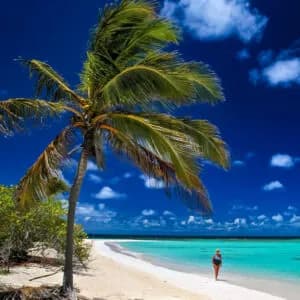 Barbuda Tours Experience