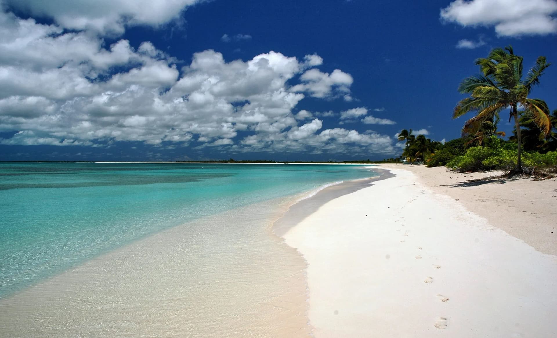 Top 5 Things to Do in Barbuda