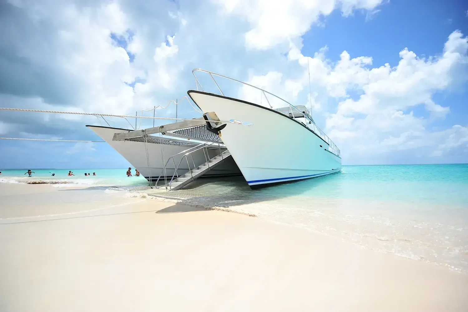 Stingray City: A Conservation Success Story