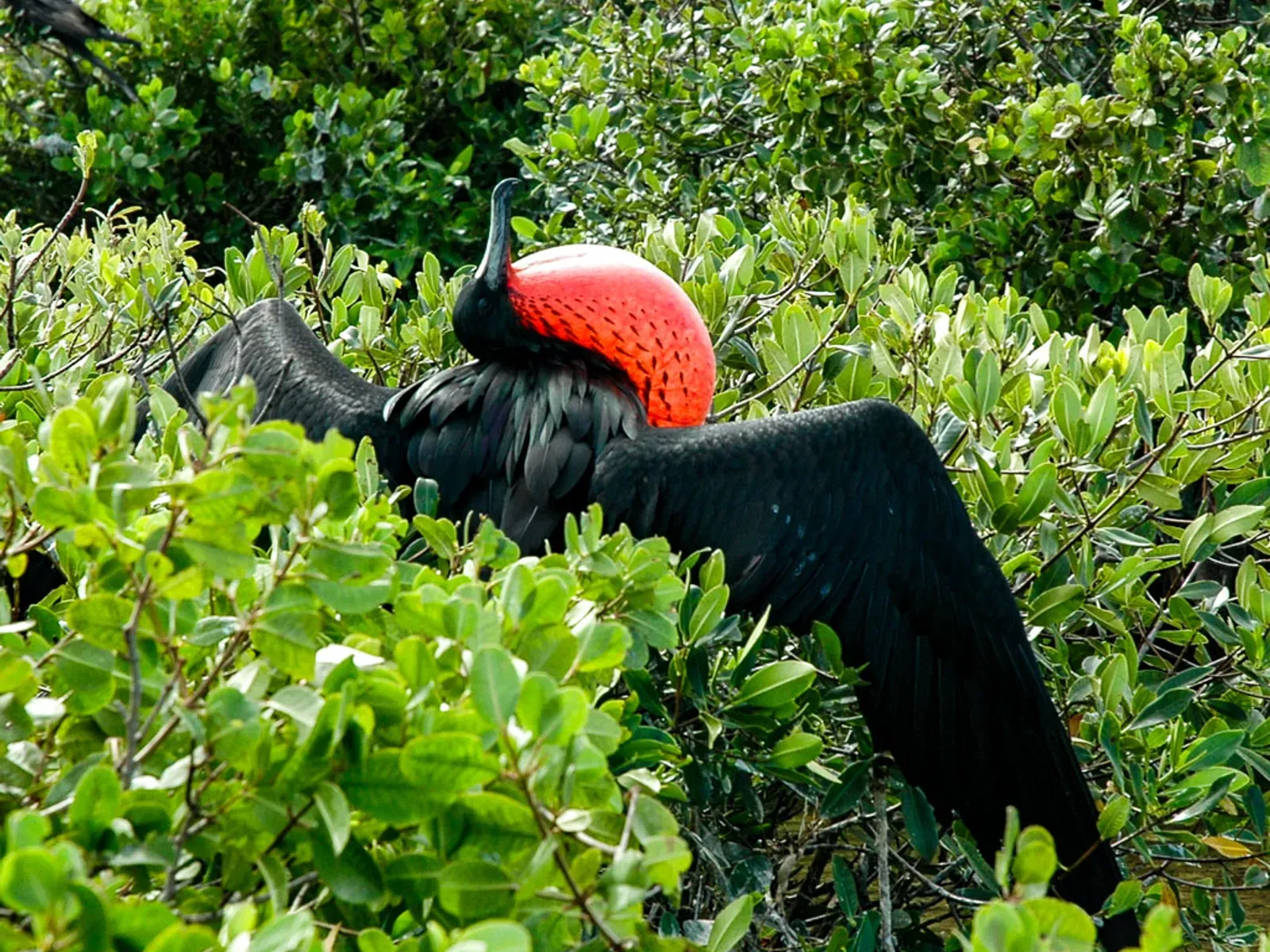 Full day of island exploration and beach time